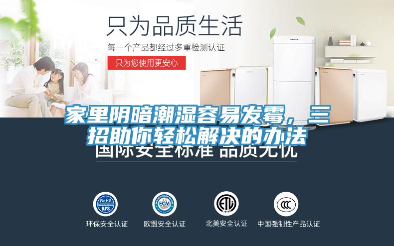 家里陰暗潮濕容易發(fā)霉，三招助你輕松解決的辦法