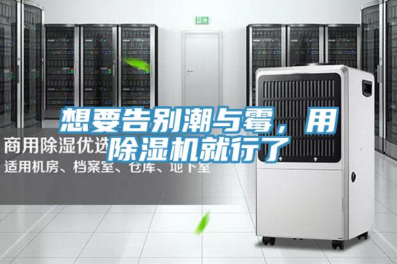 想要告別潮與霉，用除濕機就行了