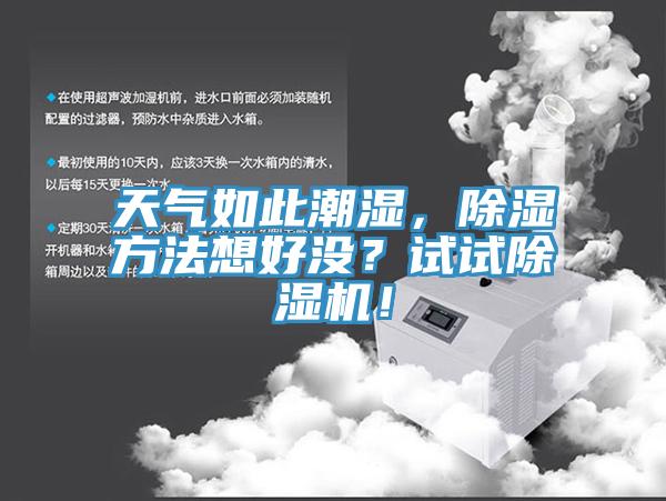 天氣如此潮濕，除濕方法想好沒？試試除濕機！