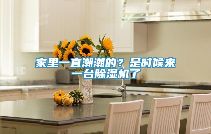 家里一直潮潮的？是時(shí)候來(lái)一臺(tái)除濕機(jī)了
