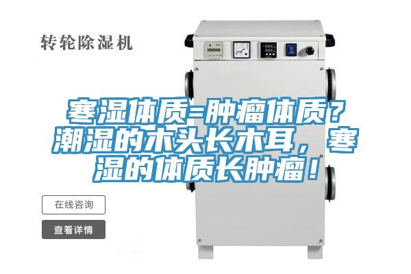寒濕體質(zhì)=腫瘤體質(zhì)？潮濕的木頭長木耳，寒濕的體質(zhì)長腫瘤！