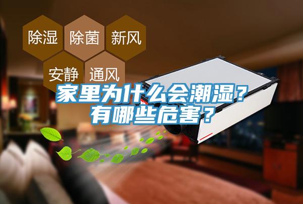 家里為什么會(huì)潮濕？有哪些危害？