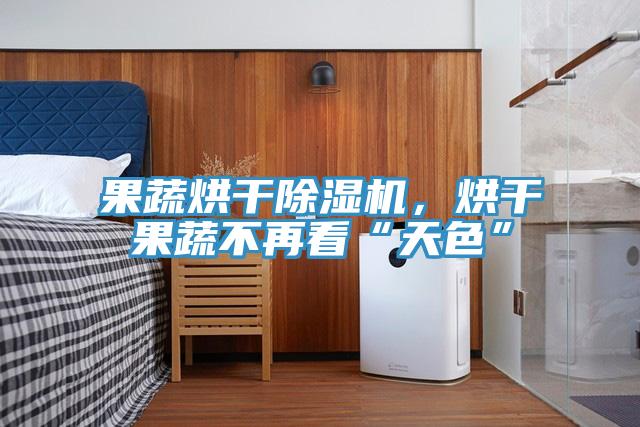 果蔬烘干除濕機，烘干果蔬不再看“天色”