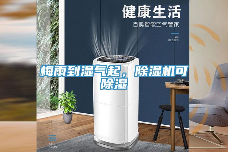 梅雨到濕氣起，除濕機可除濕