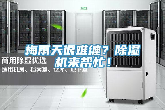 梅雨天很難纏？除濕機來幫忙！