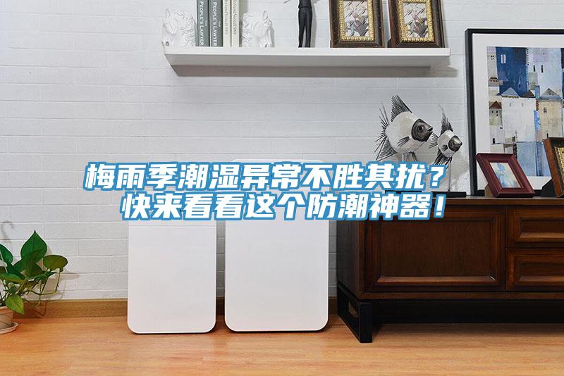 梅雨季潮濕異常不勝其擾？ 快來(lái)看看這個(gè)防潮神器！