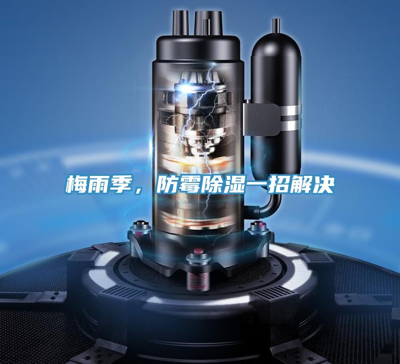 梅雨季，防霉除濕一招解決