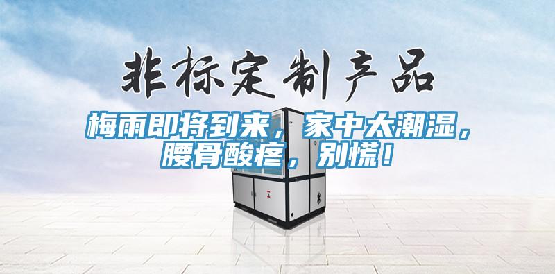 梅雨即將到來，家中太潮濕，腰骨酸疼，別慌！