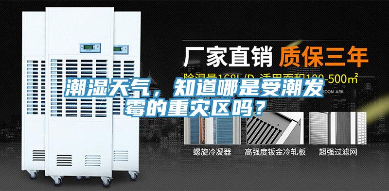潮濕天氣，知道哪是受潮發霉的重災區嗎？