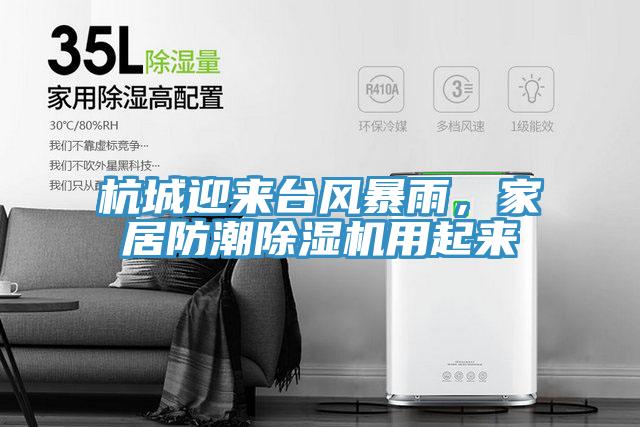 杭城迎來(lái)臺(tái)風(fēng)暴雨，家居防潮除濕機(jī)用起來(lái)
