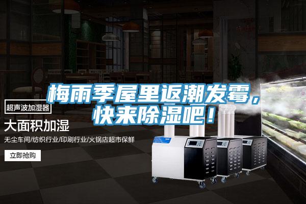 梅雨季屋里返潮發(fā)霉，快來除濕吧！