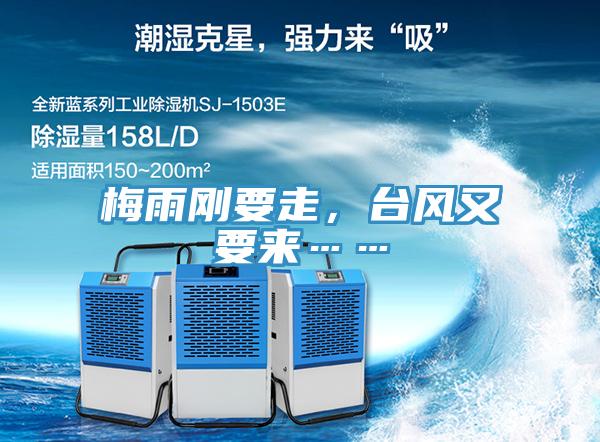 梅雨剛要走，臺風又要來……