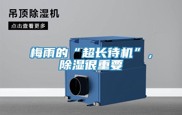 梅雨的“超長待機”，除濕很重要