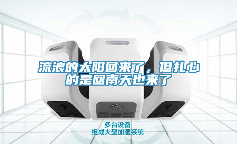 流浪的太陽回來了，但扎心的是回南天也來了