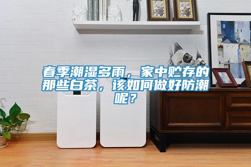 春季潮濕多雨，家中貯存的那些白茶，該如何做好防潮呢？