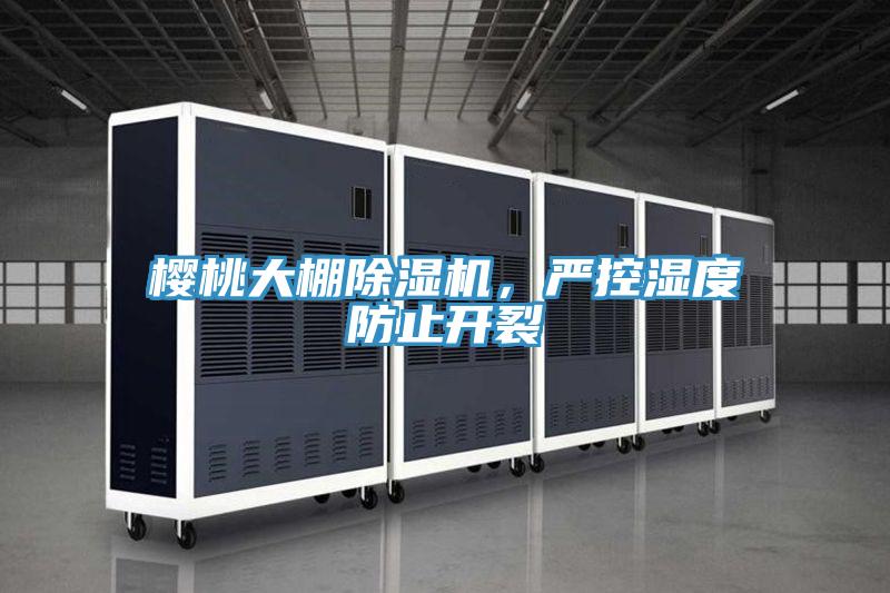 櫻桃大棚除濕機，嚴控濕度防止開裂