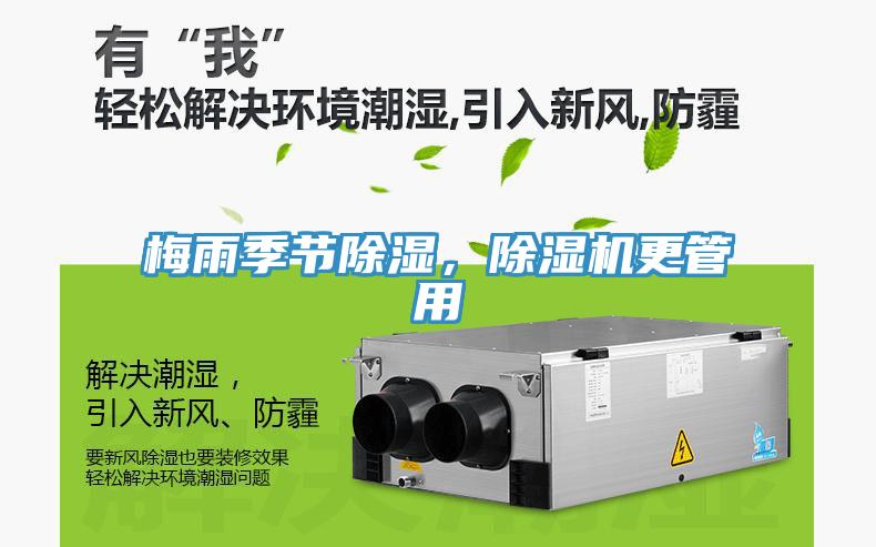 梅雨季節(jié)除濕，除濕機更管用