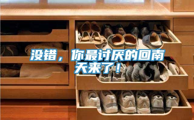 沒錯，你最討厭的回南天來了！