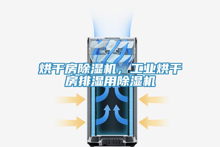 烘干房除濕機，工業(yè)烘干房排濕用除濕機