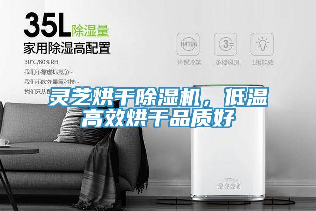 靈芝烘干除濕機，低溫高效烘干品質(zhì)好