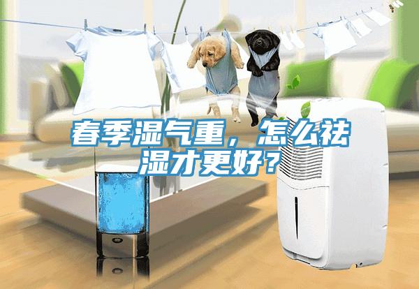 春季濕氣重，怎么祛濕才更好？