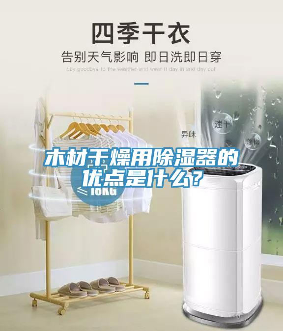 木材干燥用除濕器的優(yōu)點(diǎn)是什么？