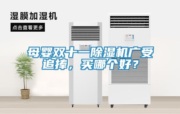 母嬰雙十一除濕機(jī)廣受追捧，買哪個好？