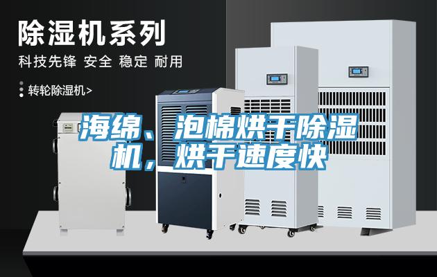 海綿、泡棉烘干除濕機(jī)，烘干速度快