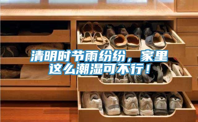 清明時(shí)節(jié)雨紛紛，家里這么潮濕可不行！