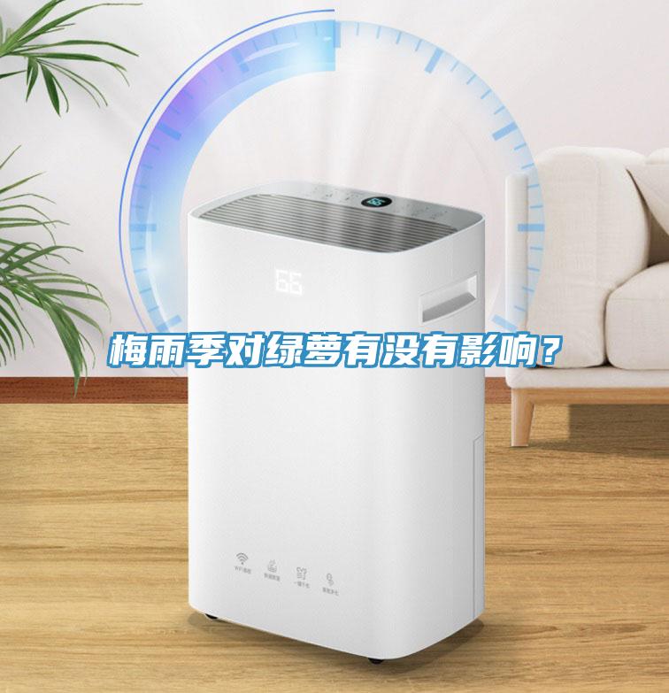 梅雨季對綠蘿有沒有影響？