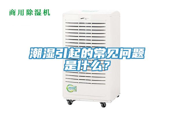 潮濕引起的常見問題是什么？