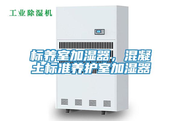 標(biāo)養(yǎng)室加濕器，混凝土標(biāo)準(zhǔn)養(yǎng)護室加濕器