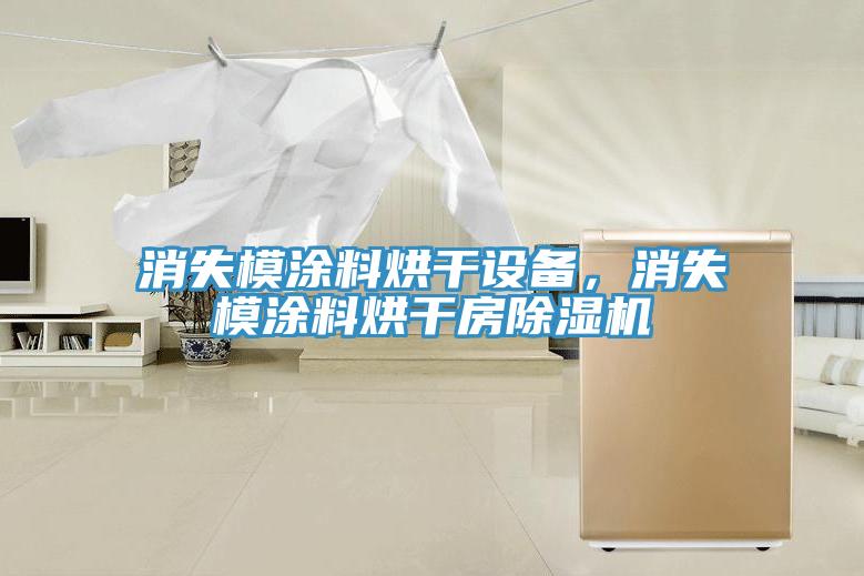 消失模涂料烘干設(shè)備，消失模涂料烘干房除濕機