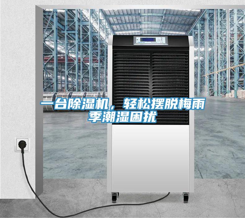 一臺除濕機，輕松擺脫梅雨季潮濕困擾