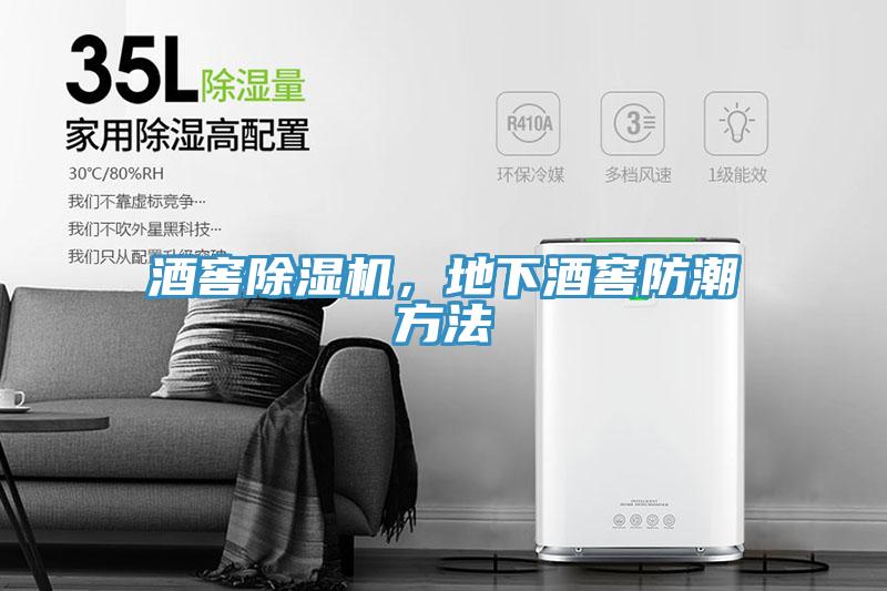酒窖除濕機，地下酒窖防潮方法