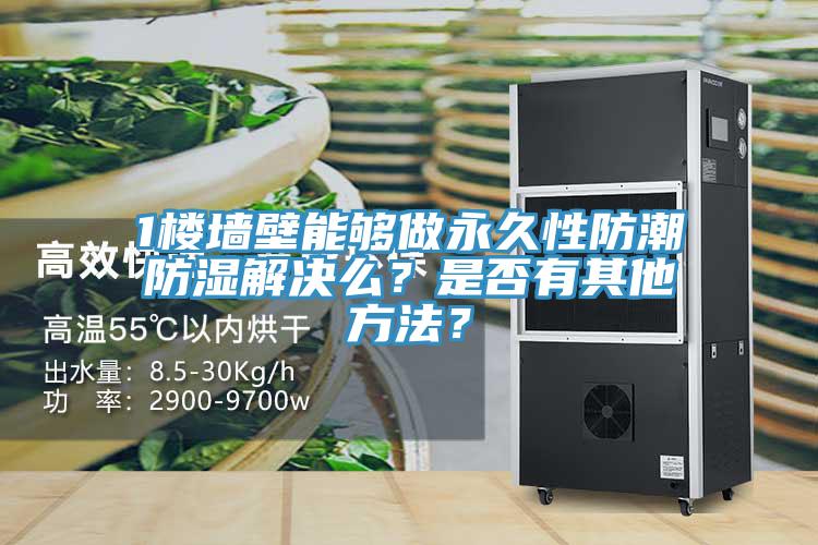 1樓墻壁能夠做永久性防潮防濕解決么？是否有其他方法？