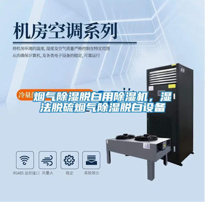 煙氣除濕脫白用除濕機，濕法脫硫煙氣除濕脫白設備