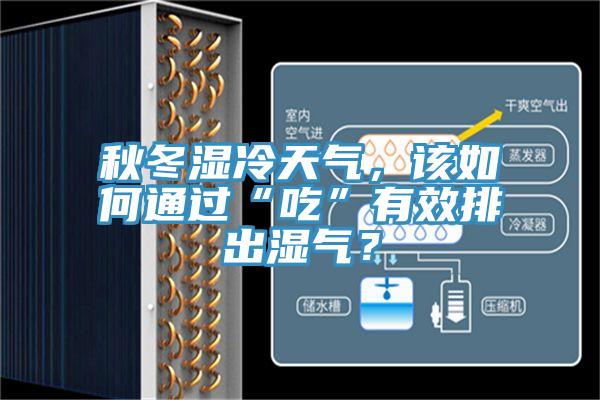 秋冬濕冷天氣，該如何通過“吃”有效排出濕氣？