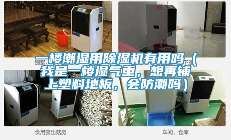 一樓潮濕用除濕機有用嗎（我是一樓濕氣重，想再鋪上塑料地板，會防潮嗎）