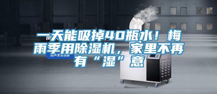 一天能吸掉40瓶水！梅雨季用除濕機，家里不再有“濕”意