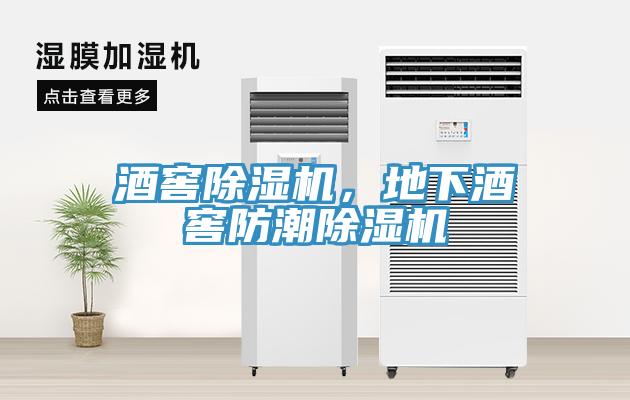 酒窖除濕機，地下酒窖防潮除濕機