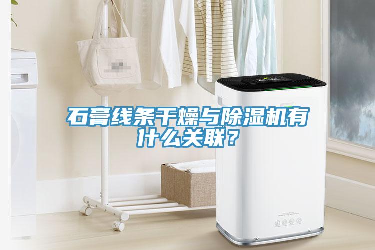 石膏線條干燥與除濕機(jī)有什么關(guān)聯(lián)？
