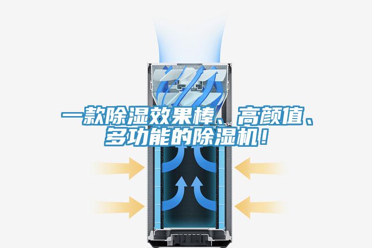 一款除濕效果棒、高顏值、多功能的除濕機！