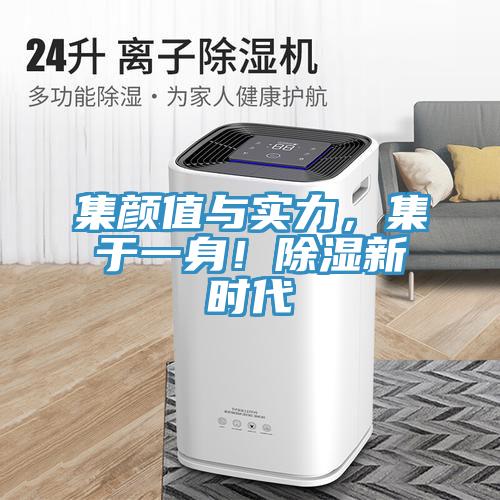 集顏值與實力，集于一身！除濕新時代