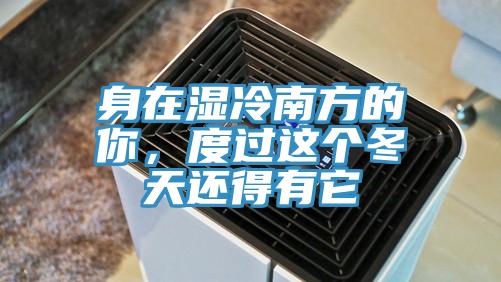 身在濕冷南方的你，度過這個(gè)冬天還得有它