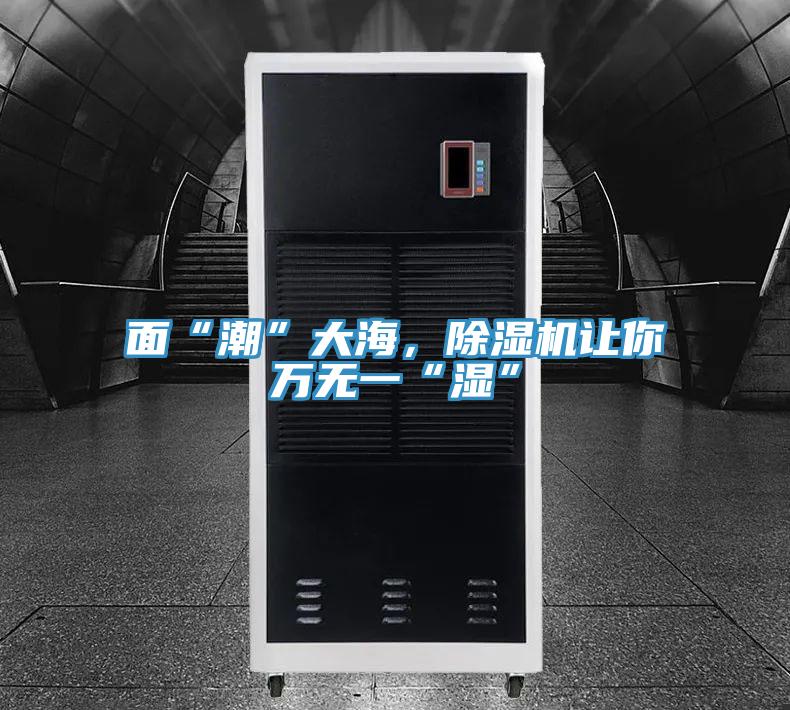 面“潮”大海，除濕機讓你萬無一“濕”