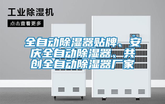 全自動除濕器貼牌、安慶全自動除濕器、共創(chuàng)全自動除濕器廠家