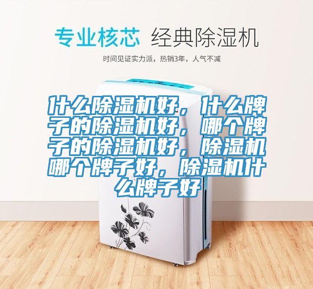 什么除濕機(jī)好，什么牌子的除濕機(jī)好，哪個(gè)牌子的除濕機(jī)好，除濕機(jī)哪個(gè)牌子好，除濕機(jī)什么牌子好