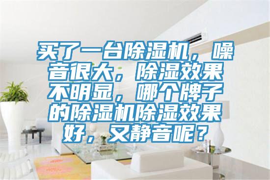 買了一臺除濕機，噪音很大，除濕效果不明顯，哪個牌子的除濕機除濕效果好，又靜音呢？