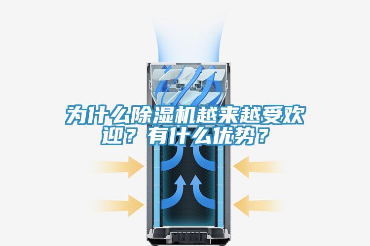 為什么除濕機(jī)越來(lái)越受歡迎？有什么優(yōu)勢(shì)？
